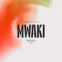 Zerb — Mwaki (Skytech Remix) Ft Sofiya Nzau — обложка